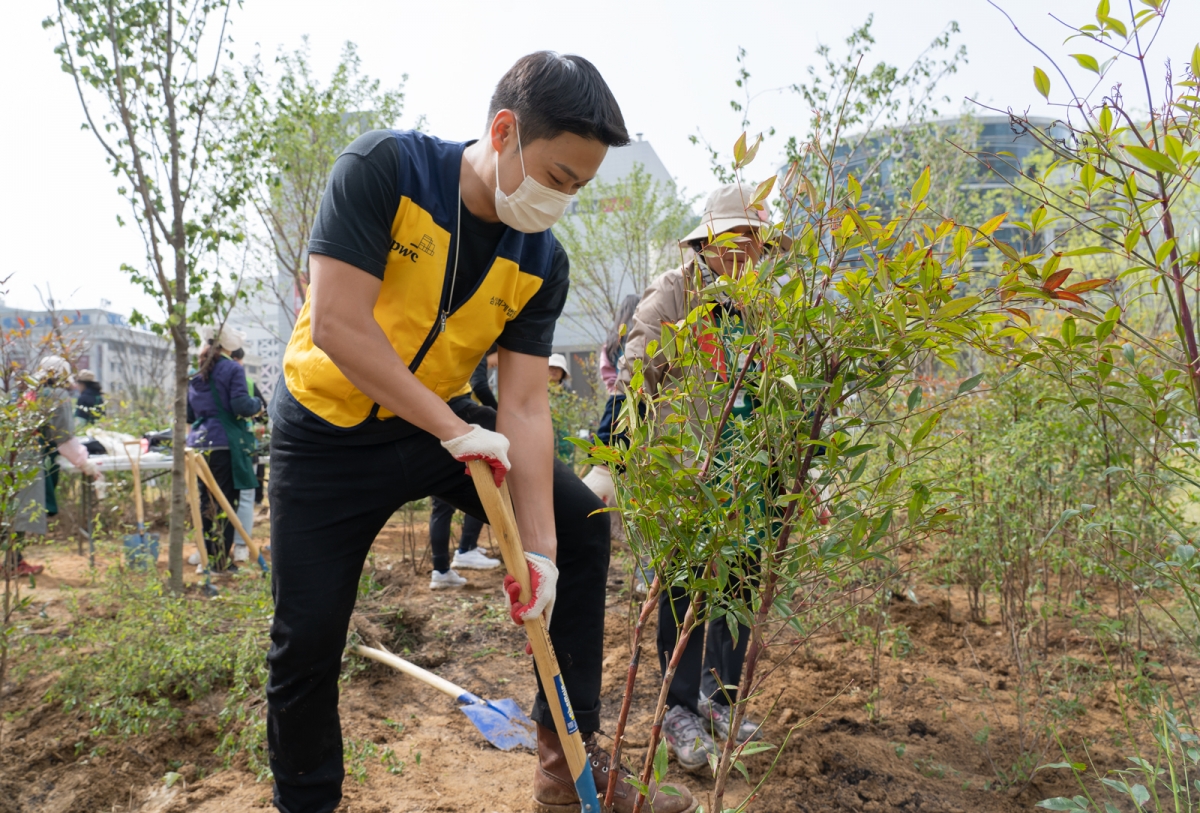 삼일PwC 임직원이 용산구 매력공원 조성 봉사활동에 참여하며 나무를 심고 있다. 삼일PwC 제공