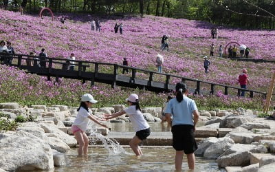 [포토] '2024 불암산 철쭉제'