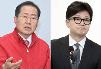 "文 앞잡이, 철부지 초년생"…한동훈 때리는 홍준표의 속내