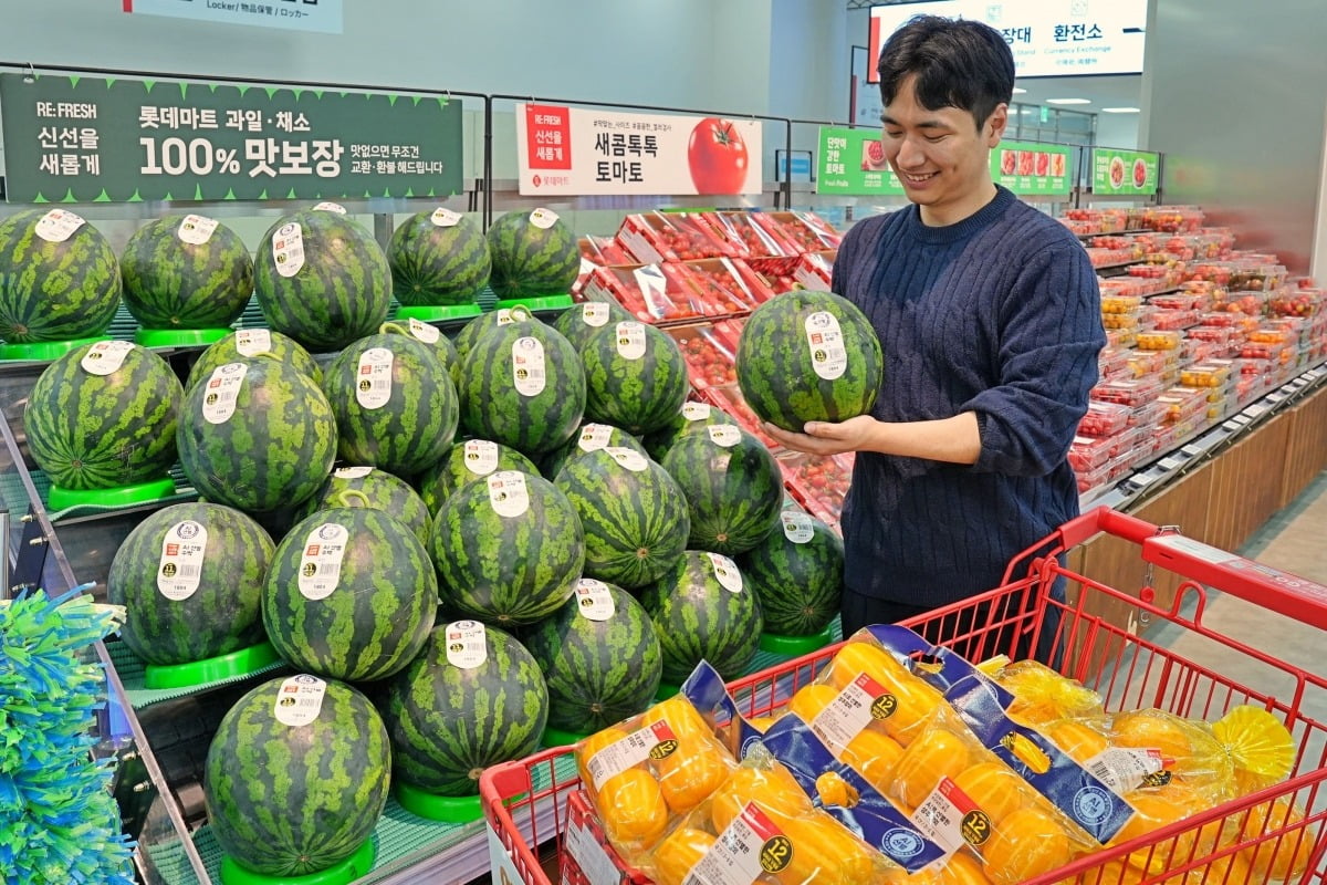 한 소비자가 서울 롯데마트 제타플렉스 서울역점에서 AI가 선별한 수박을 구매하고 있다./ 롯데마트 제공 