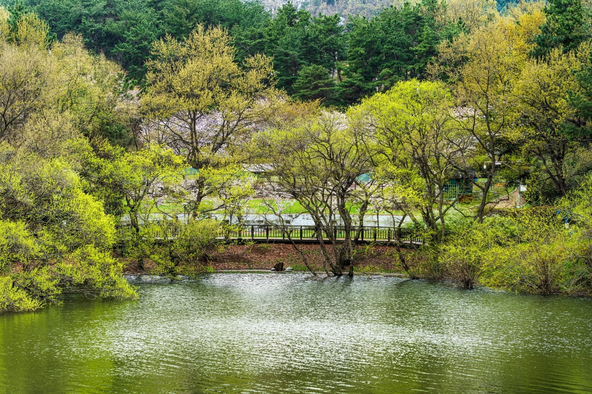  울산 남구 1경,  선암호수공원