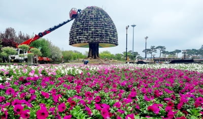 제26회 함평나비대축제 26일 개막…나비 25만 마리 '훨훨'