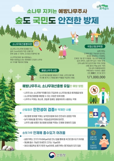 “소나무 살리는 재선충병 나무주사, 안심하셔도 됩니다”