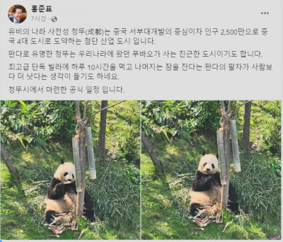 中 출장 떠난 홍준표…"푸바오 팔자가 사람보다 낫다"