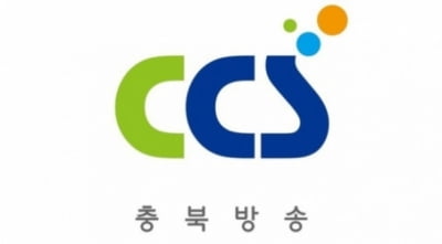 씨씨에스, 이사회 결의 무효확인 소송 제기 [주목 e공시]