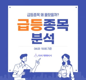  오전장 급등주 PICK 5 - 아이엠비디엑스, 흥아해운, 엔켐...