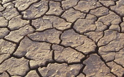 잠비아, 최악 가뭄으로 1조3천억 국제사회에 원조 요청