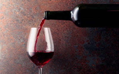 전 세계 '와인 포도밭' 초토화…원인은 '이것' 때문이라고?