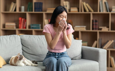 "남의 집 앞에 왜 사료를"…노후 아파트 길고양이 '갈등' [오세성의 헌집만세]