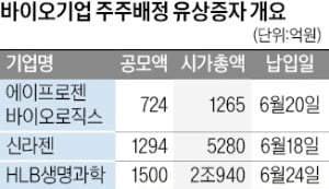 "공매도 재개 전에 막차 타자"…유상증자 나선 바이오 기업