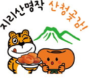 지리산 찬바람에 말린 산청곶감