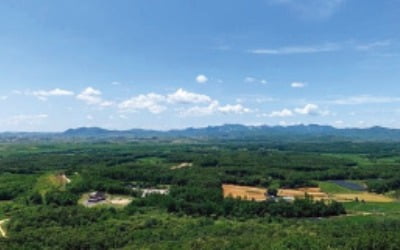 경기새마을 파주 접경지역 토지, 파주 '평화경제특구' 규제 완화 기대 토지