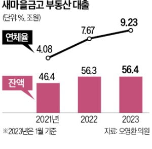 새마을금고 '양문석式 대출' 전수조사 검토