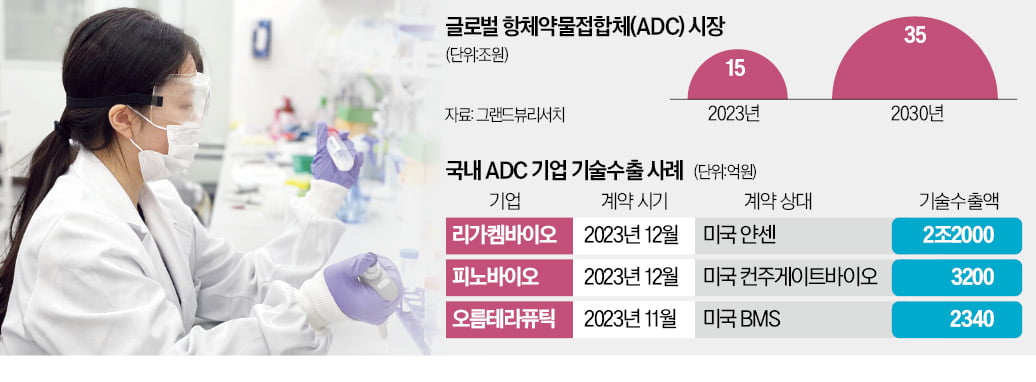 K바이오도 '꿈의 항암제' ADC 개발 러시