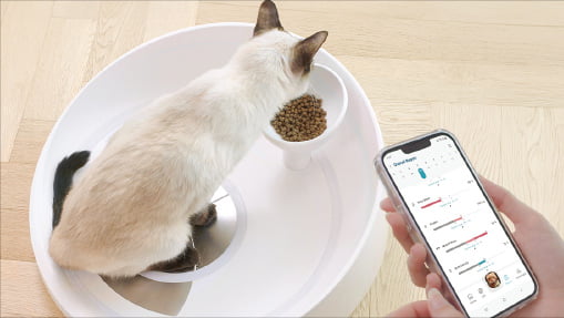 리틀캣의 고양이 체성분 측정기 ‘인펫(INPET)’을 시연하는 모습. 