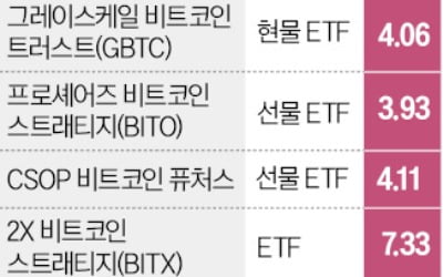 "홍콩 비트코인 현물카지노 찰리 곧 승인"…코인주 기대감에 다시 불기둥