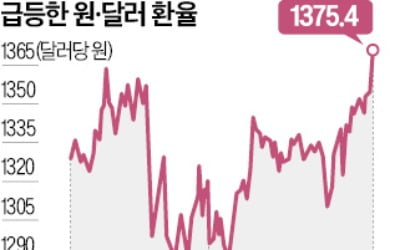 1370원 뚫은 환율…17개월 만에 최고