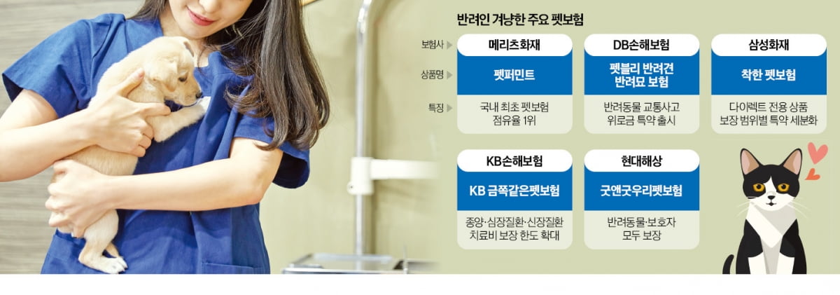 수백만원 반려동물 수술비도…샌즈 카지노 사이트 1만원이면 부담 없어요 