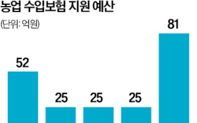 양곡법 대안으로 '소득 보장보험' 꺼낸 정부…사과·배도 포함 추진