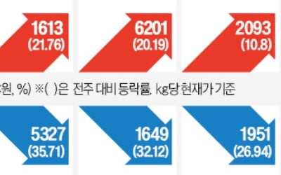 양배추 도매가격 한달새 두배…토스트·닭갈비 자영업자 '비상'