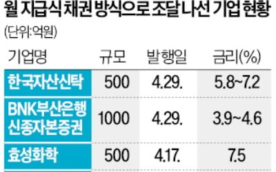 年5~8% 금리 짭짤…'月지급식 채권' 뜬다