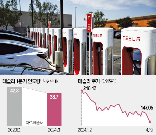 "테슬라 차값은 자연산 횟값"…고무줄 가격에 팬덤 흔들