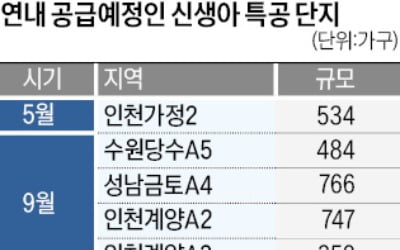 엇갈린 첫 '신생아특공'…성남 61대 1 vs 여수 1.3대 1