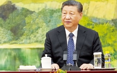 블링컨 만난 시진핑 "美, 중국의 적 아닌 파트너"