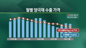 "아직도 추운 봄"..양극재 완연한 봄 언제오나? [엔터프라이스]