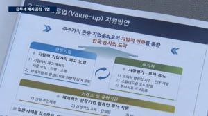 "금투세 폐지" vs "당장 내년부터"…소외된 개인투자자