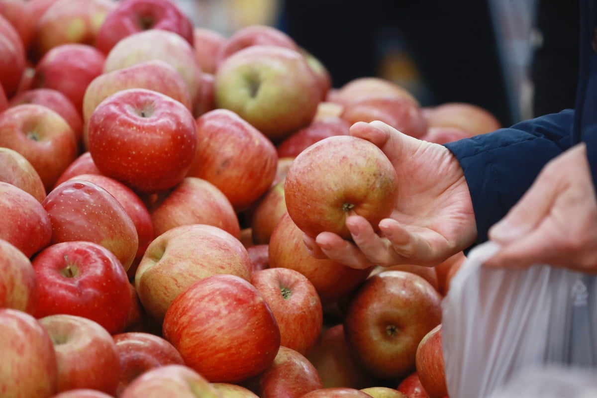 사과 작년보다 88% 상승, 제사상에 망고 올릴라