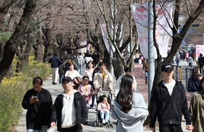 '금쪽같은 내새끼' 유모차 사고 매년 200건, 봄나들이철 주의할 것은