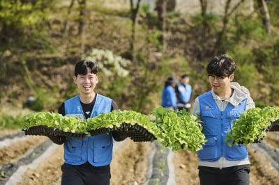 KT&G, 잎담배 농가에 '모종이식' 봉사활동