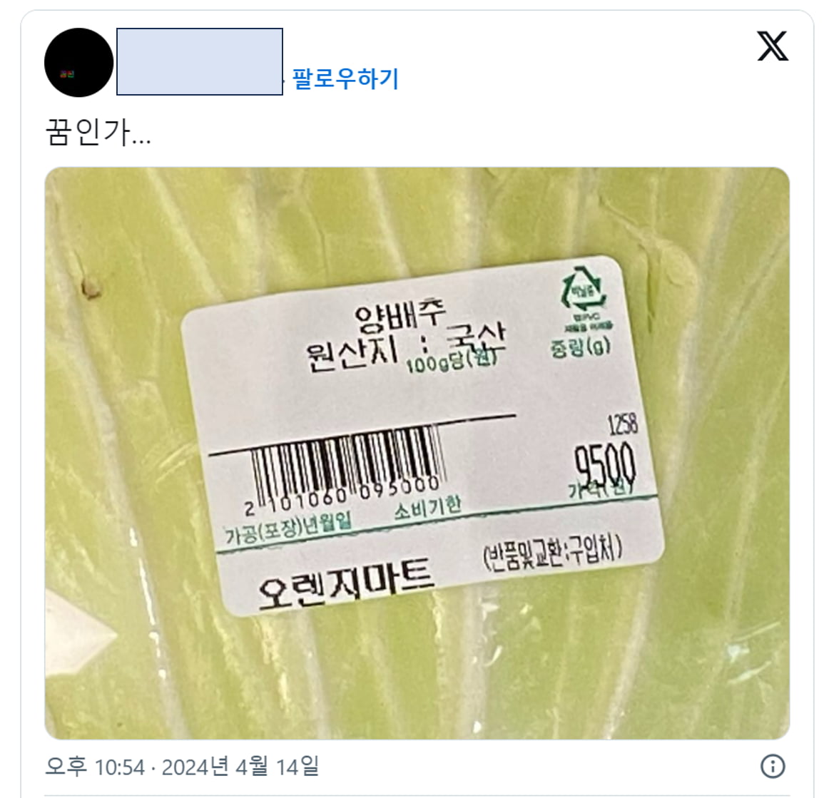 X(옛 트위터)의 한 사용자가 올린 24시간 마트에서 판매하는 '9500원' 가격표가 붙은 양배추 사진. 