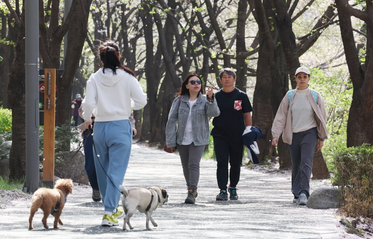 "우리 개는 안무는지 시장님께 허락받고 기르세요" 맹견 사육 허가제 시행