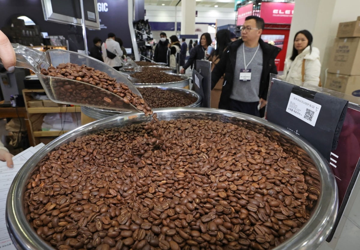 커피 시장의 양대 품종 중 하나인 로부스타 원두의 기준가는 올해 약 50% 급등했다.  사진=한국경제신문