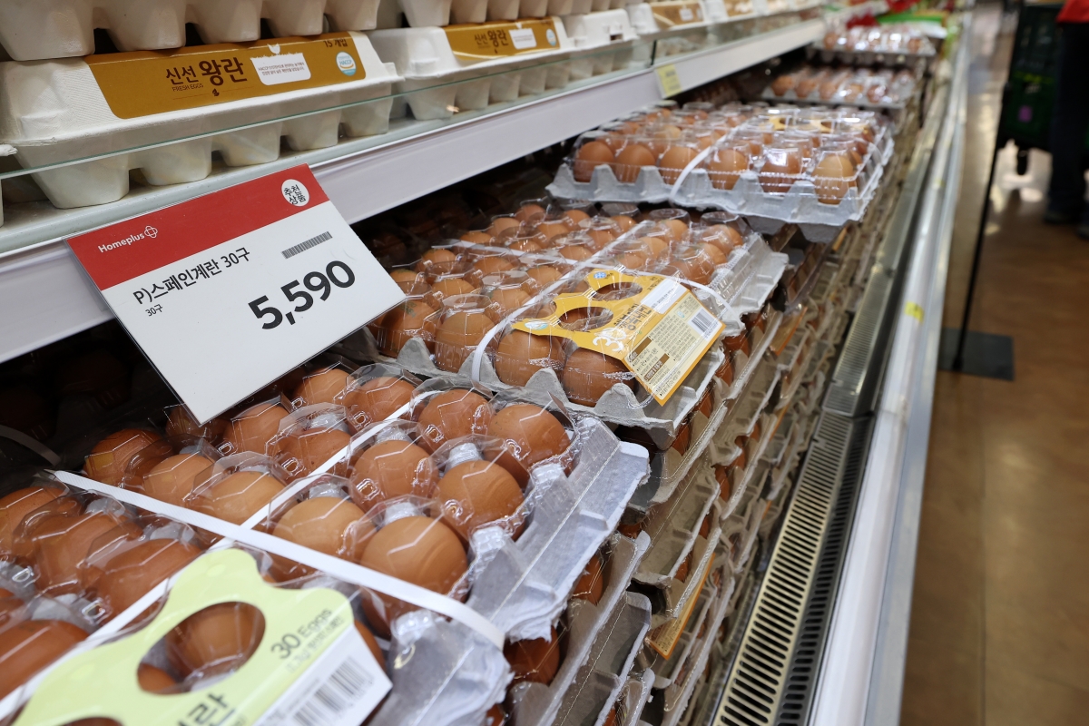 “계란 값마저 오르면 큰일” 농식품부, 계란 가격 상승 진화 나선다
