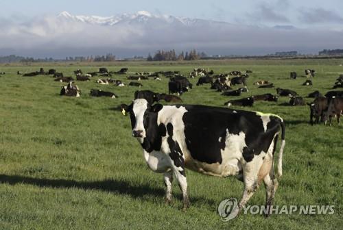 "EU, 농업보조금 82% 육식용 축산업 지원…채식 전환에 역행"