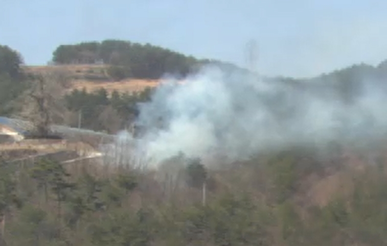 건조특보 속 삼척 산불…약 50분 만에 꺼져(종합)