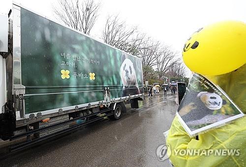 "잘 가 푸바오, 영원히 기억할게"…울음바다 된 푸바오 배웅길