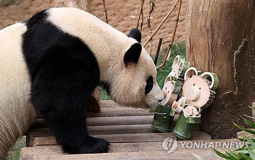 "잘 가 푸바오, 영원히 기억할게"…울음바다 된 푸바오 배웅길