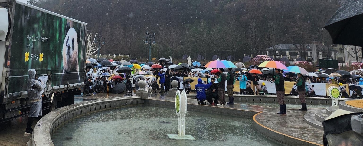 "잘 가 푸바오, 영원히 기억할게"…울음바다 된 푸바오 배웅길(종합)