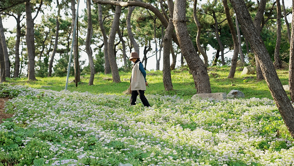 매일 스쳐 가는 길도 다르게 보인다…다큐 '땅에 쓰는 시'