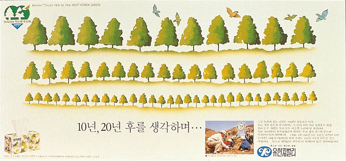 유한킴벌리 '우리강산 푸르게 푸르게' 40주년…최장수 숲 캠페인