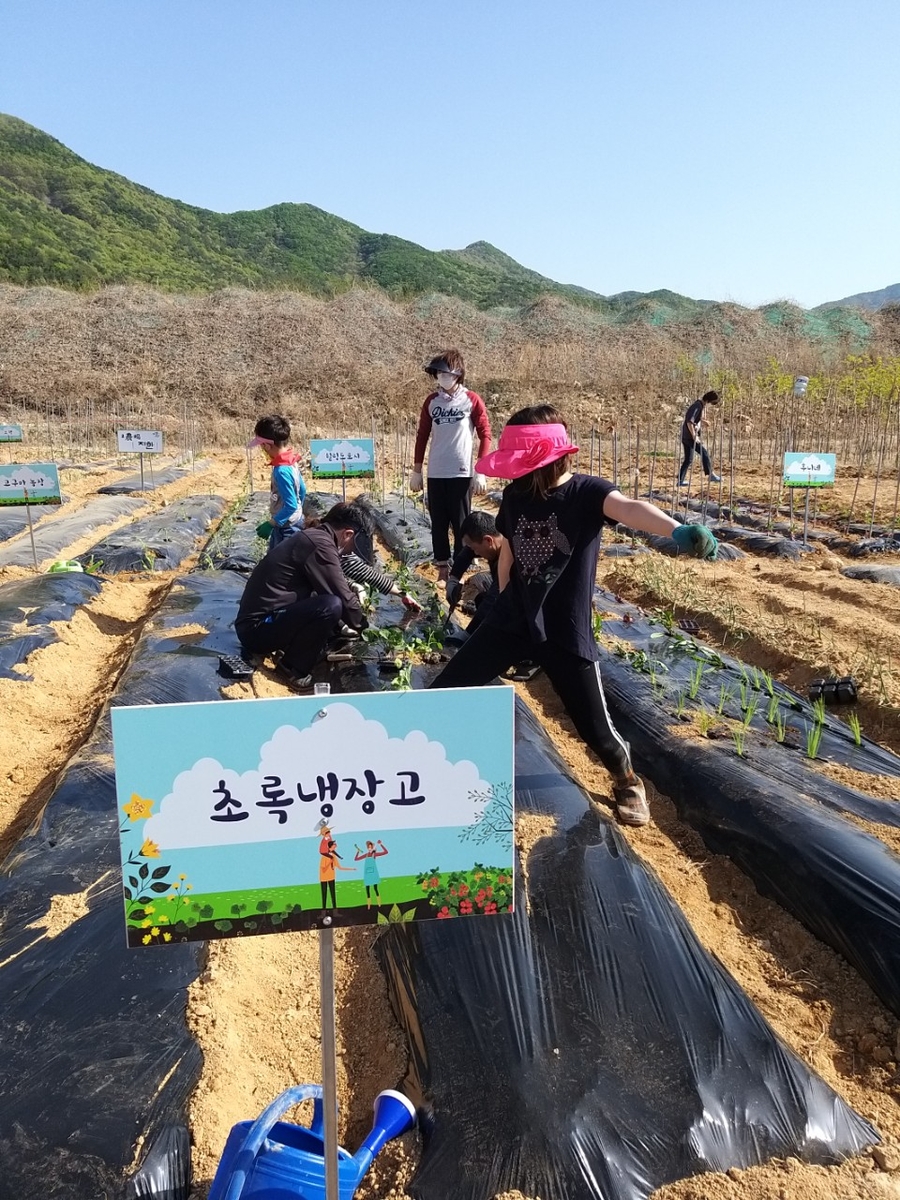 우리집 작은농장 만들기…김해시 '리틀 포레스트 팜' 확대한다