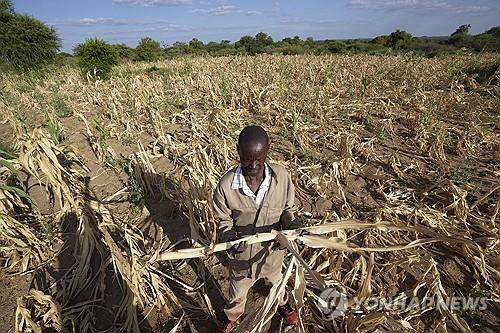 짐바브웨도 '엘니뇨 가뭄'에 국가재난사태 선포