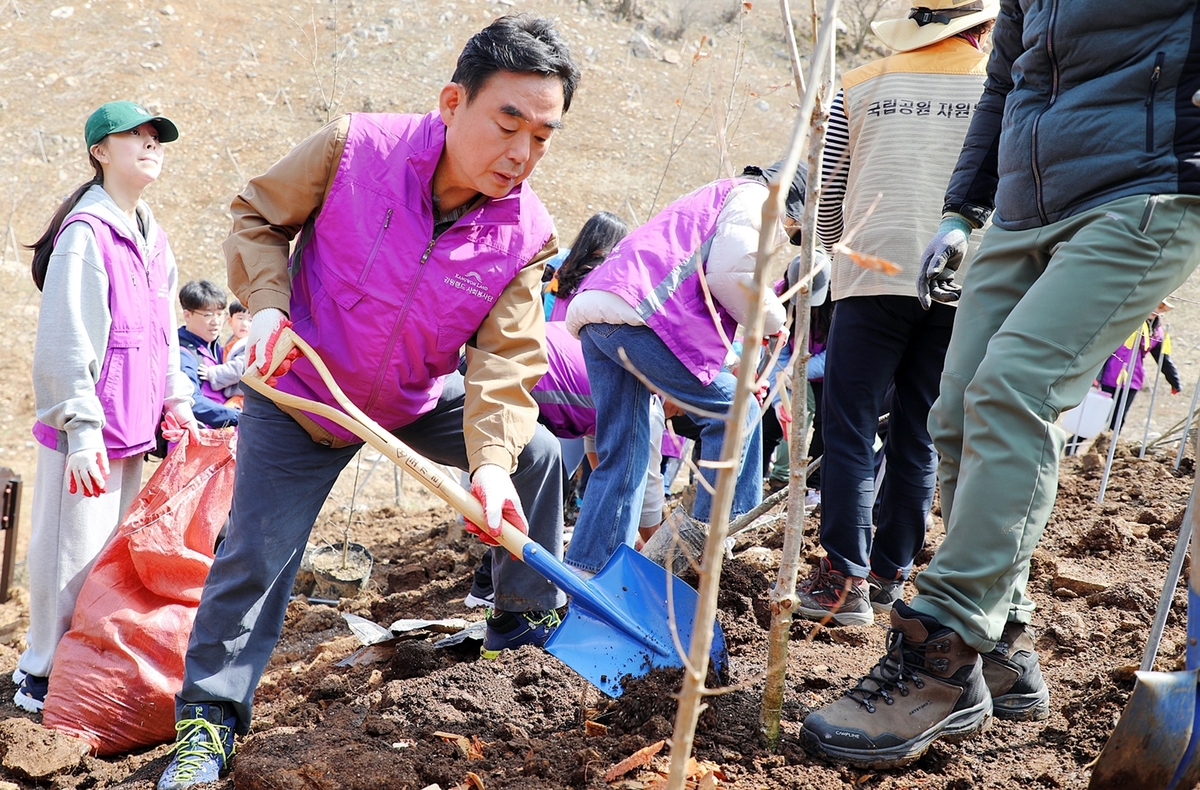 강원랜드, 태백산 '희망의 숲' 조성 나무 심기