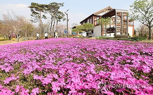 [픽! 임실] 알록달록 꽃으로 물든 붕어섬 생태공원