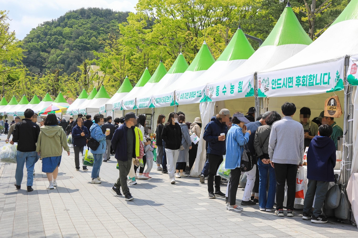 양평 용문산 관광단지서 26~28일 산나물 축제