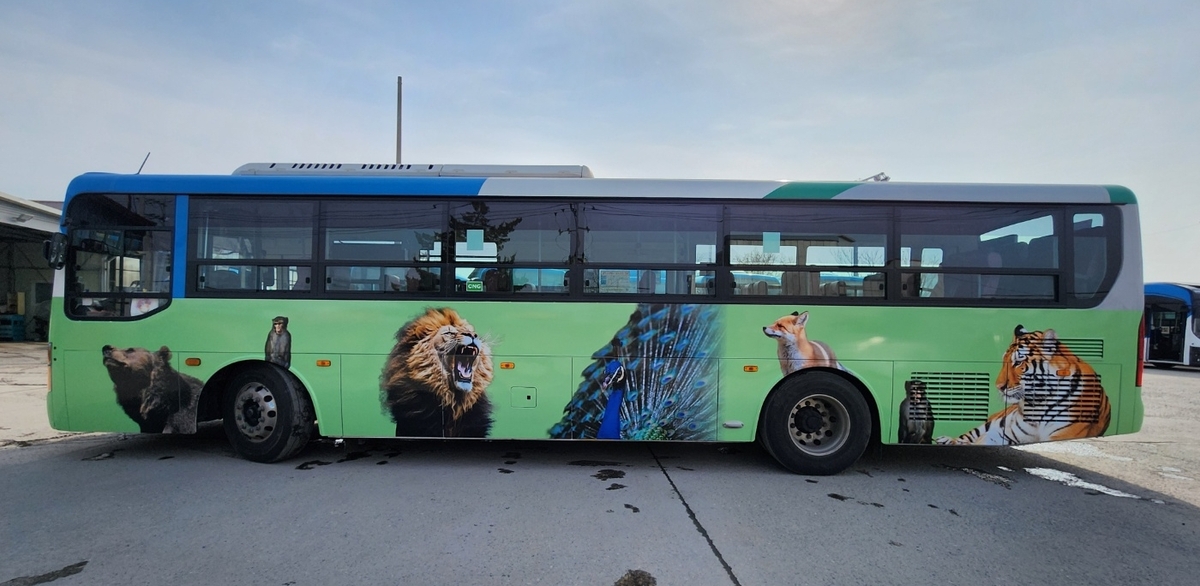 "호랑이가 어흥" 청주랜드 방면 시내버스에 동물 그림